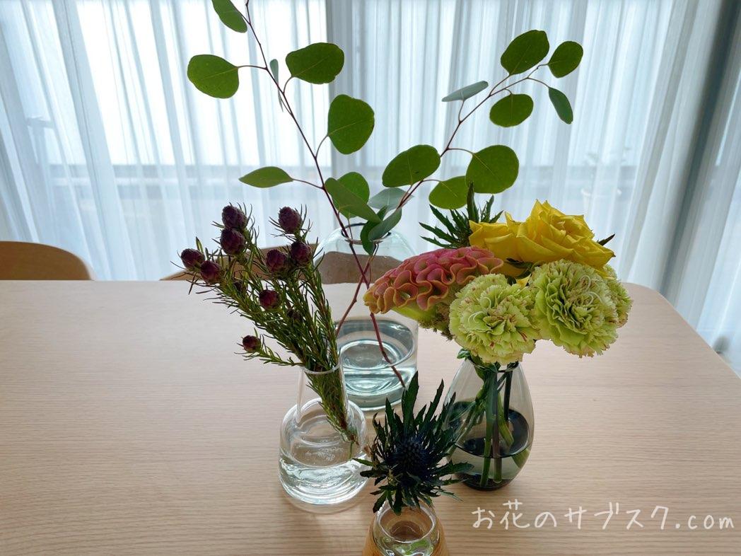 ハナプライム5000円の13日目のお花