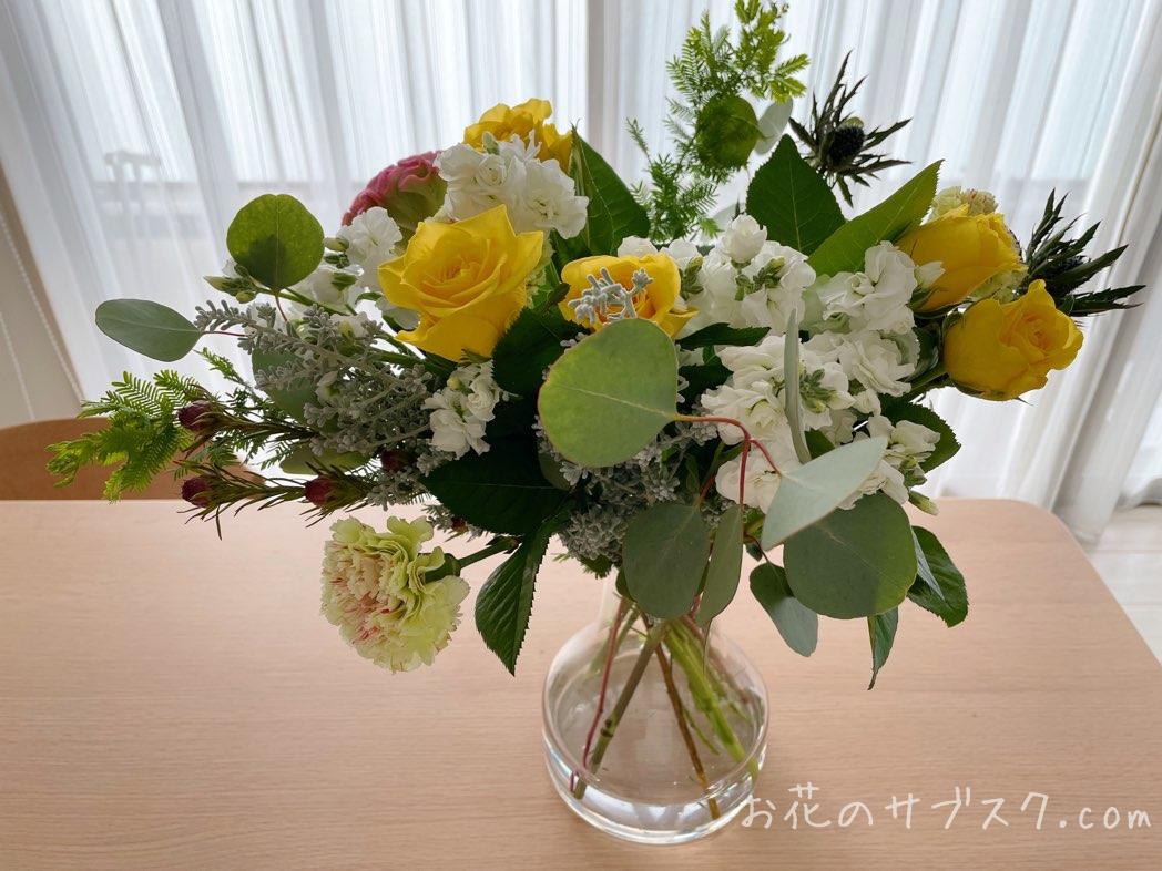ハナプライム定期5000円の花